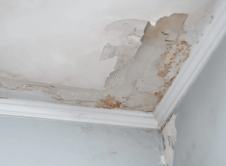 greyish house with white ceiling and mold with some stains